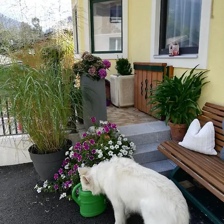 豪斯奥茨布里克酒店 招待所