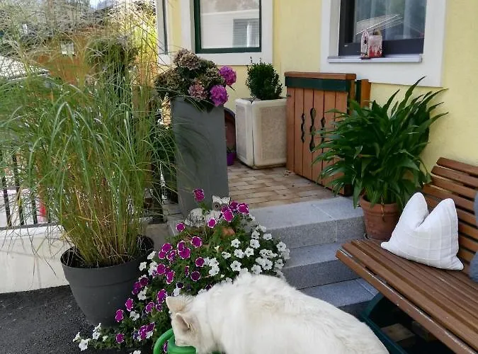 Haus Ortsblick Affittacamere
